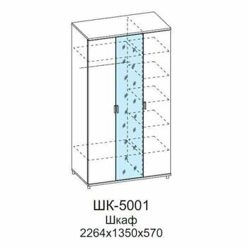 ШК-5001-АС-АМ Шкаф