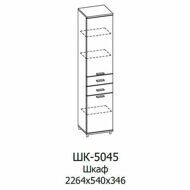 ШК-5045-АС-АМ Шкаф
