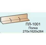 ПЛ-1001 полка