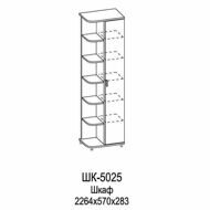 ШК-5025-АС-АМ Шкаф