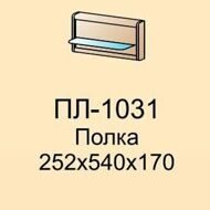 ПЛ-1031 полка