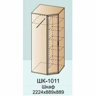 ШК-1011 шкаф для одежды и белья