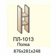 ПЛ-1013 полка